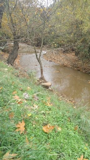 Fotoğraf 19