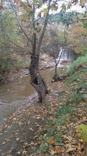Fotoğraf 20