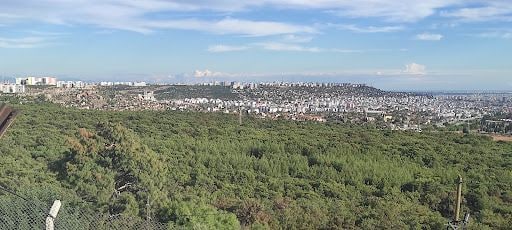Yorum fotoğrafı 4