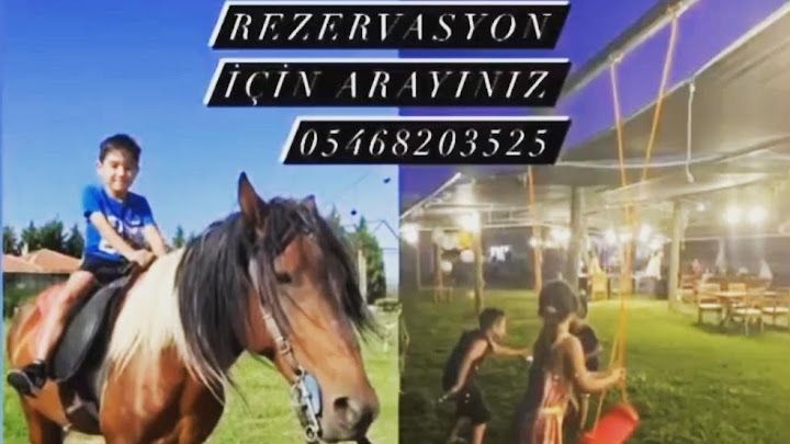 Fotoğraf 13