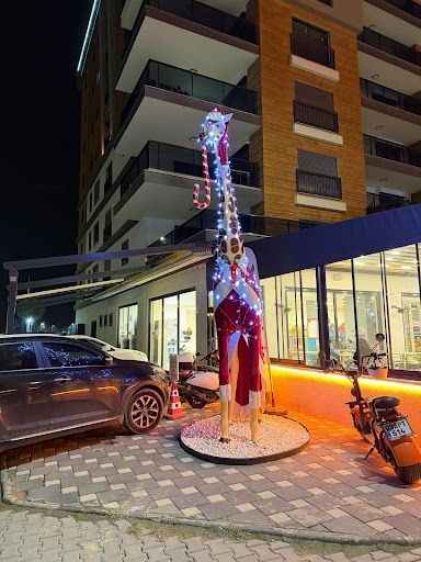 Fotoğraf 14