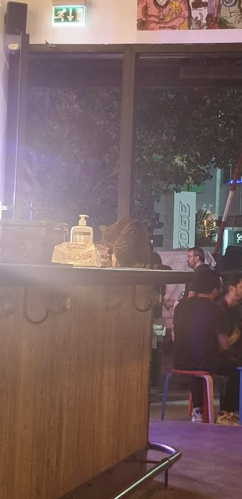 Yorum fotoğrafı 2