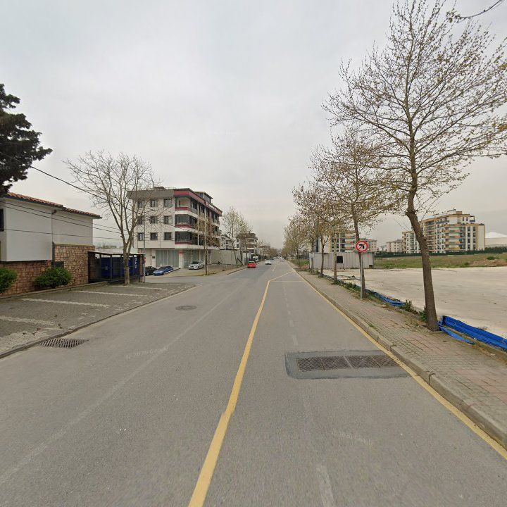 Fotoğraf 12