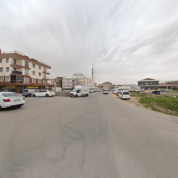 Fotoğraf 8
