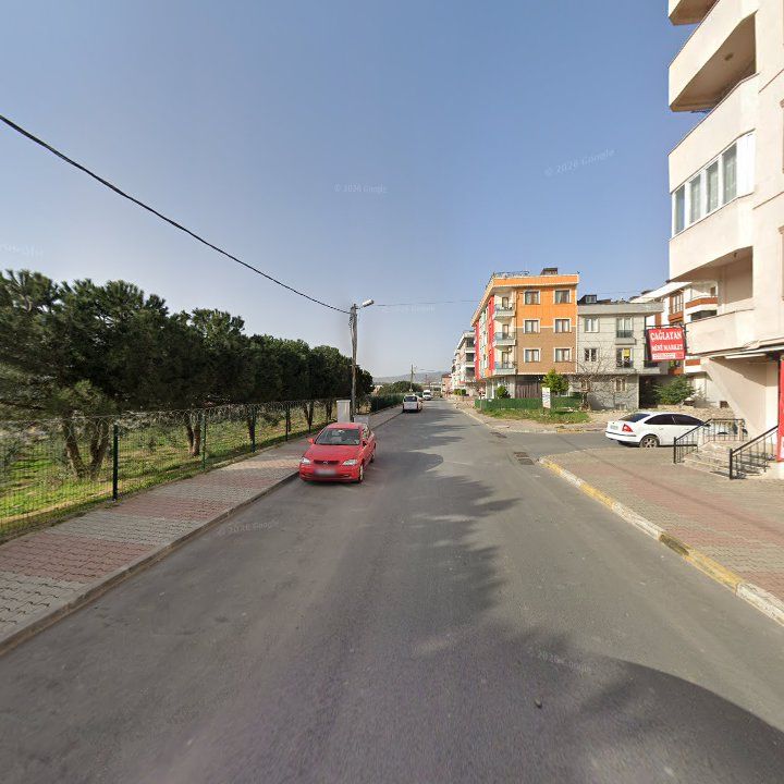 Fotoğraf 7
