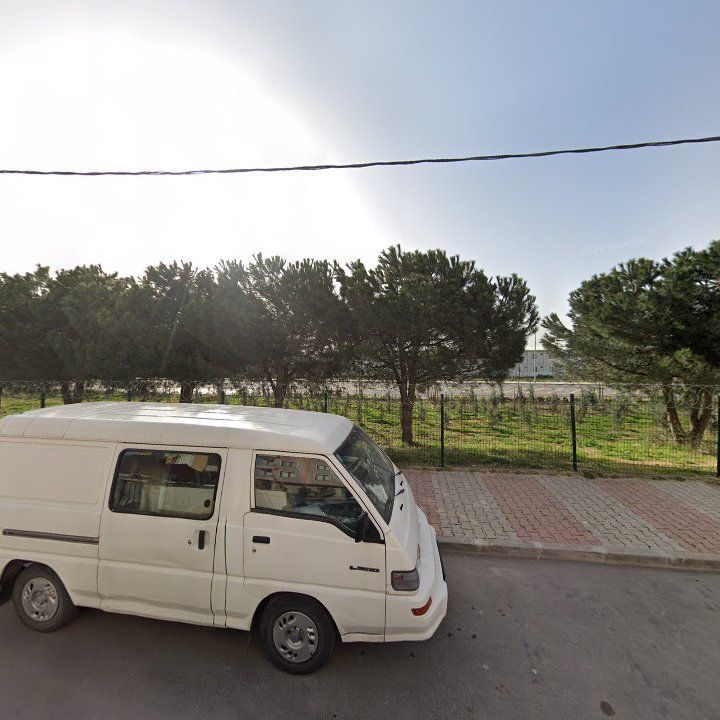Fotoğraf 6