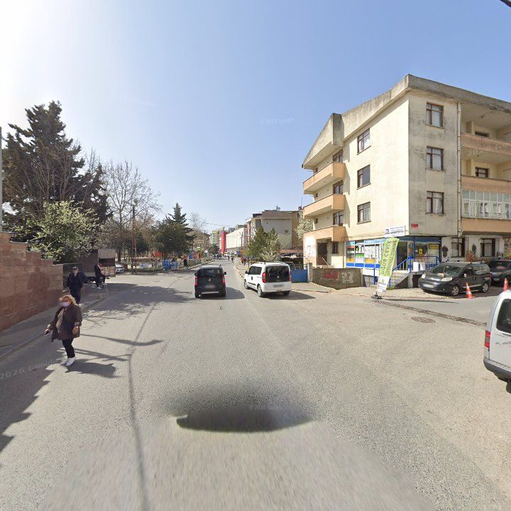Fotoğraf 8