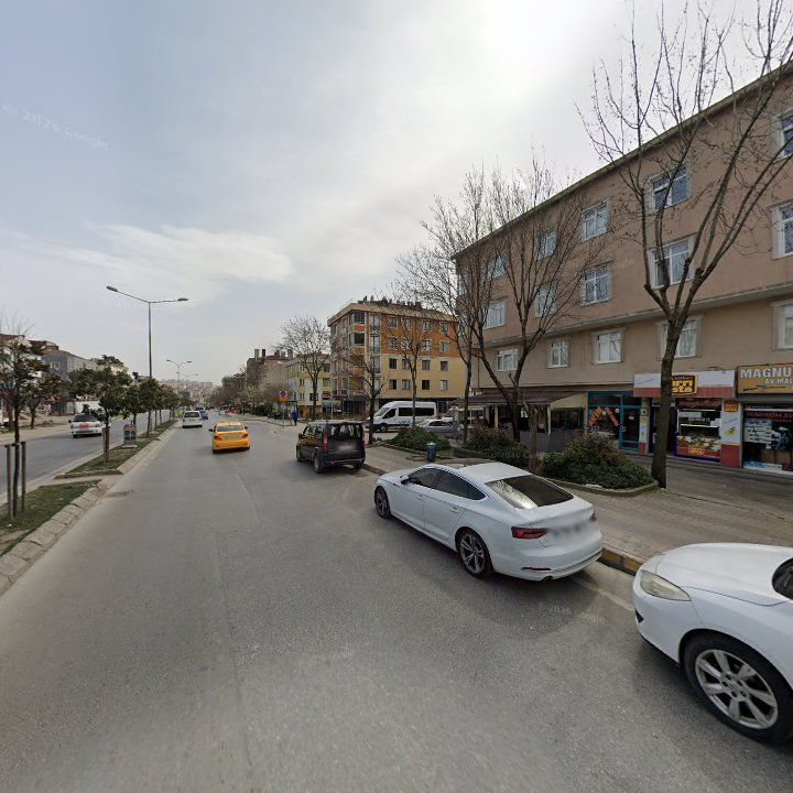 Fotoğraf 11