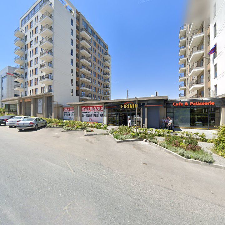 Fotoğraf 12