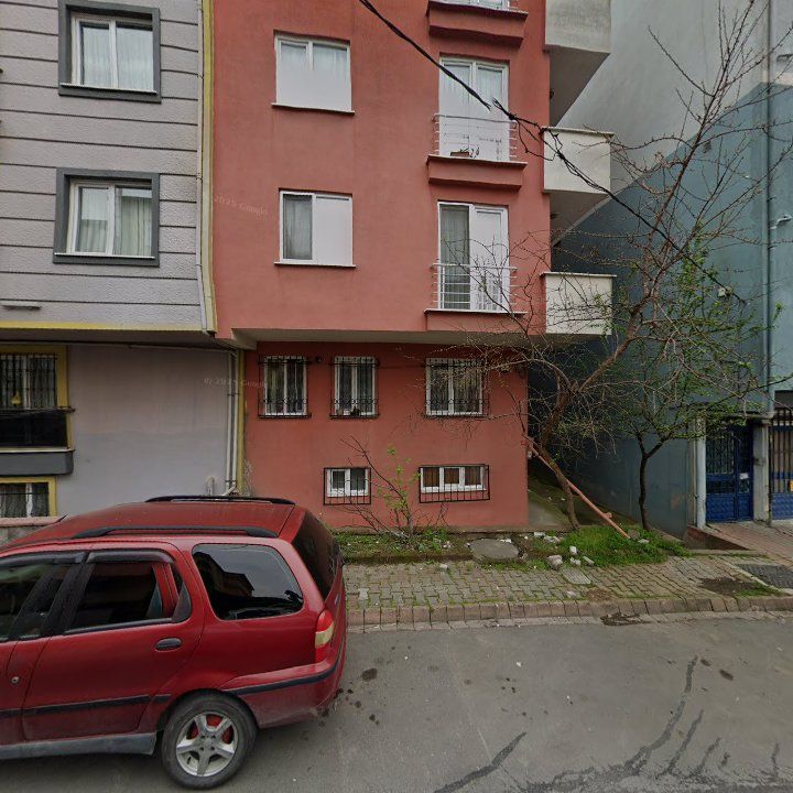 Fotoğraf 11