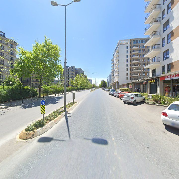 Fotoğraf 12