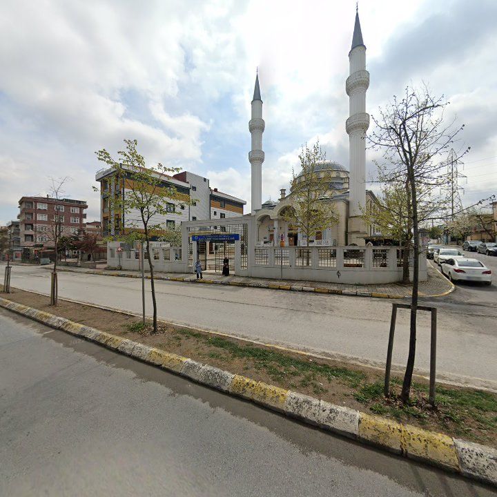 Fotoğraf 7