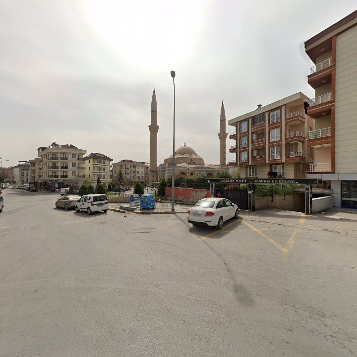 Fotoğraf 7