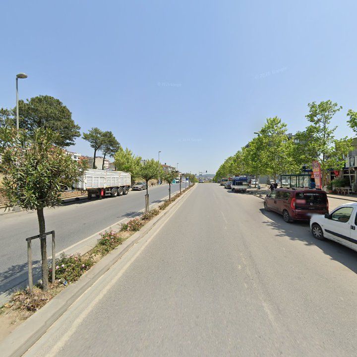 Fotoğraf 7