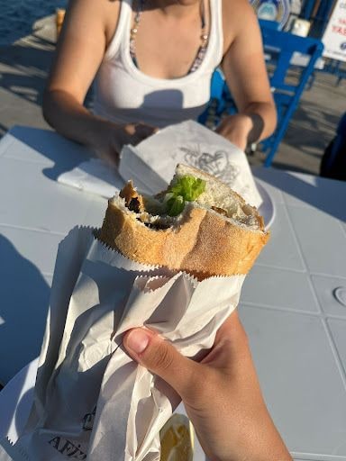 Fotoğraf 13