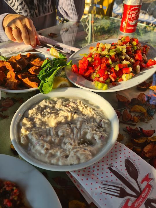 Fotoğraf 10