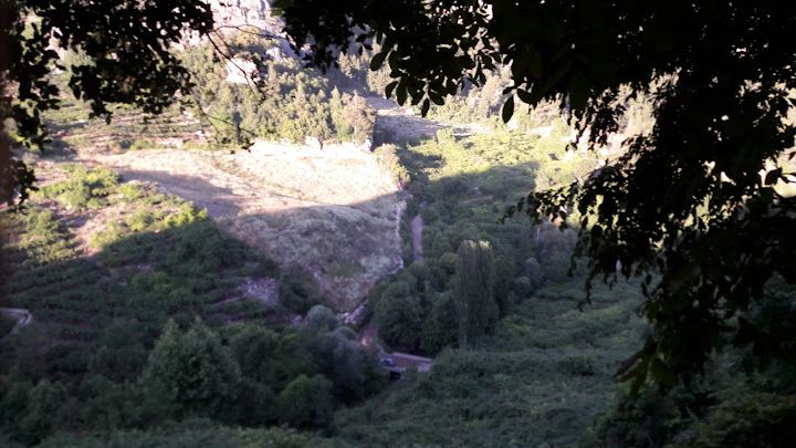 Yorum fotoğrafı 3