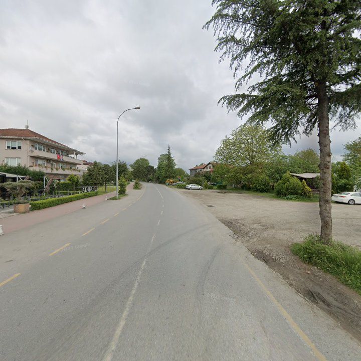Fotoğraf 12