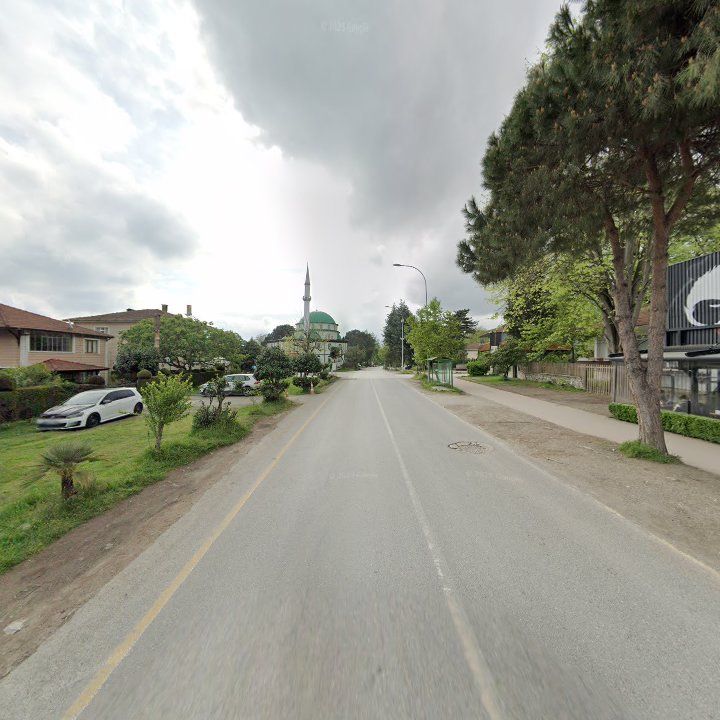 Fotoğraf 14