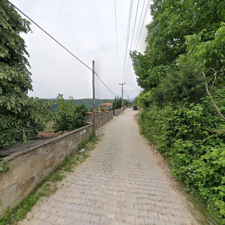 Fotoğraf 9