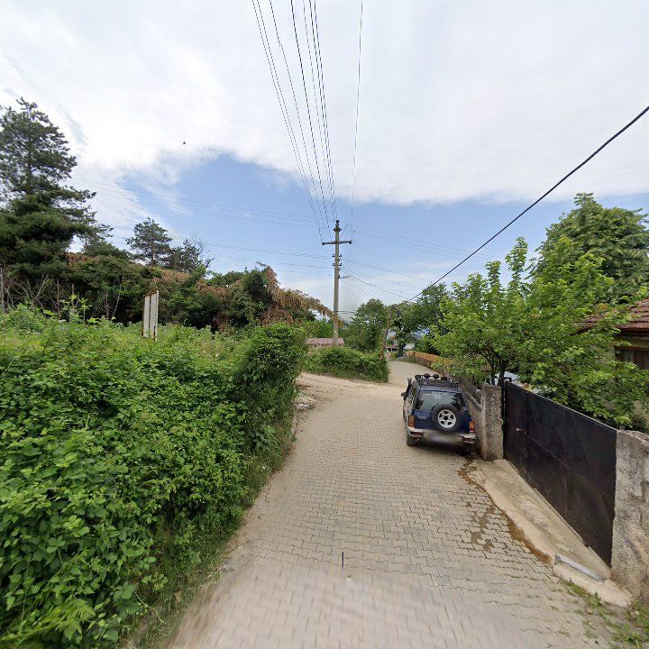 Fotoğraf 11
