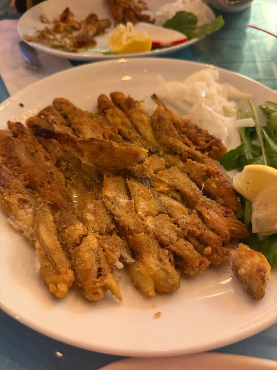 Fotoğraf 24