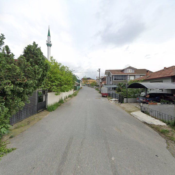 Fotoğraf 7