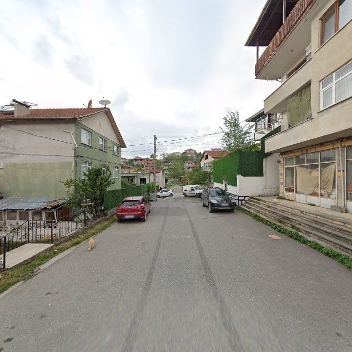 Fotoğraf 9