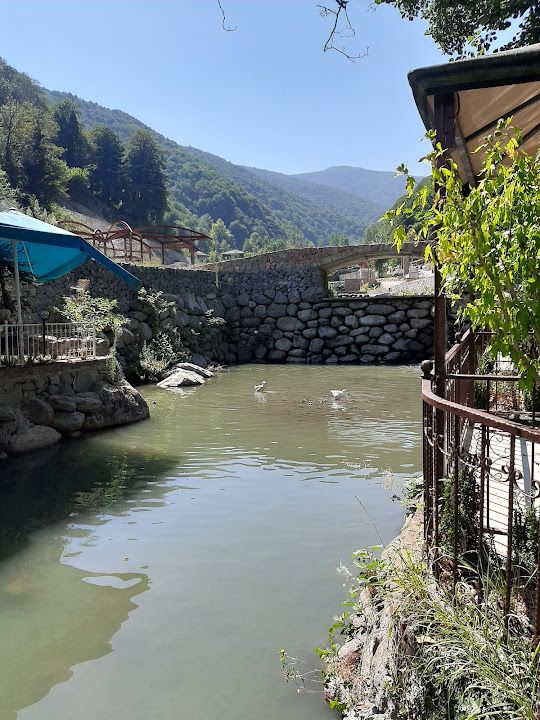 Fotoğraf 41