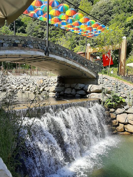 Fotoğraf 31