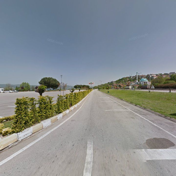 Fotoğraf 8