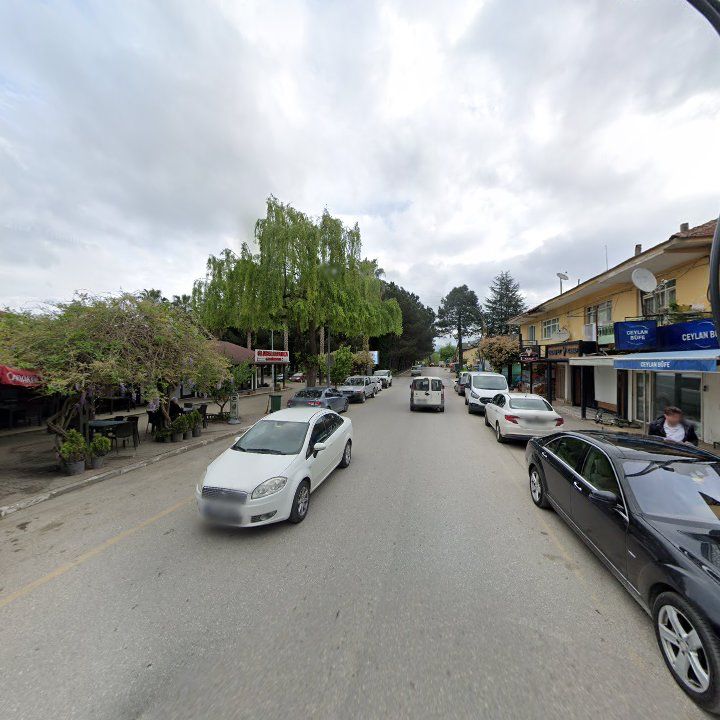 Fotoğraf 9