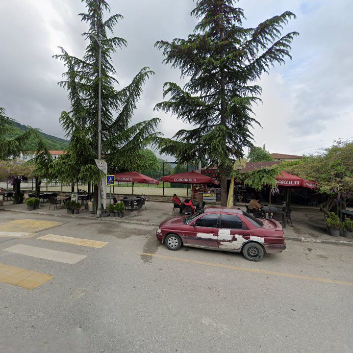 Fotoğraf 8