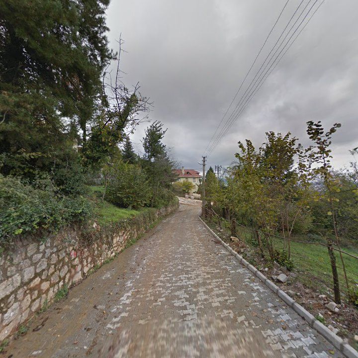 Fotoğraf 10