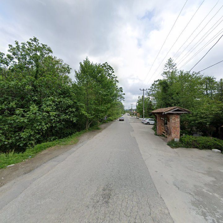 Fotoğraf 11