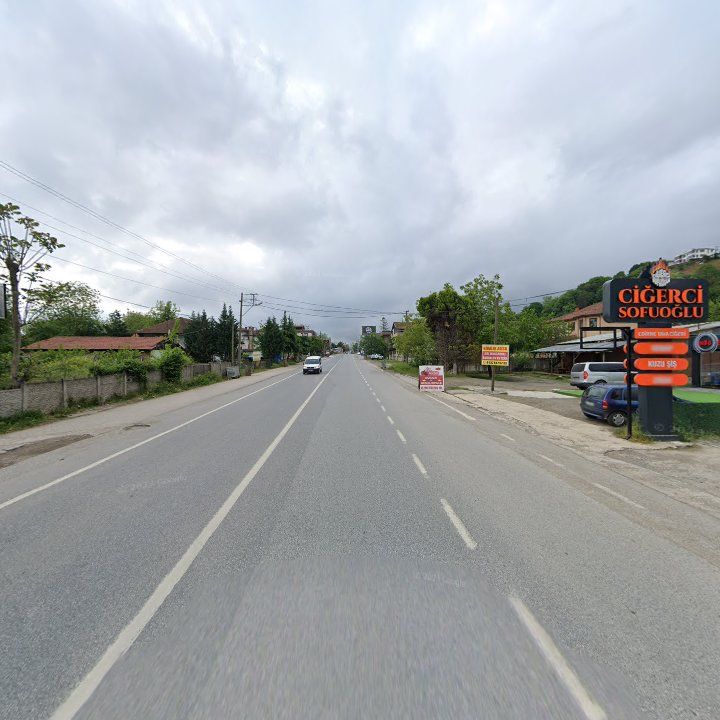 Fotoğraf 12