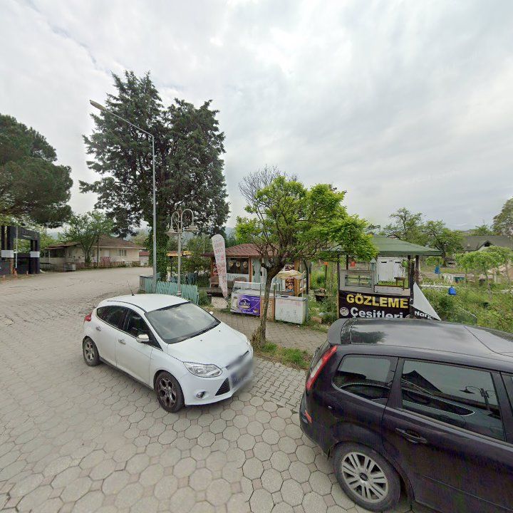 Fotoğraf 12
