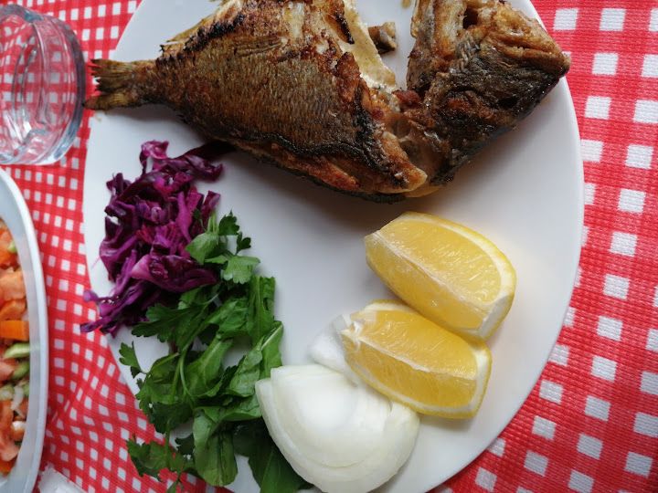 Fotoğraf 44