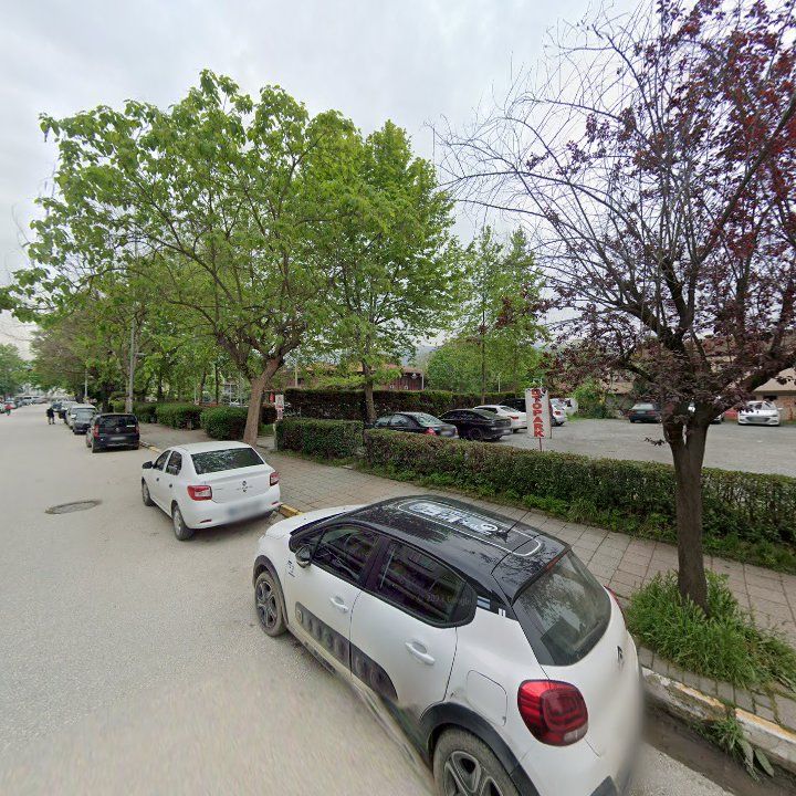 Fotoğraf 12