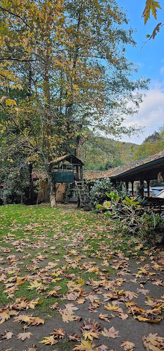 Yorum fotoğrafı 4