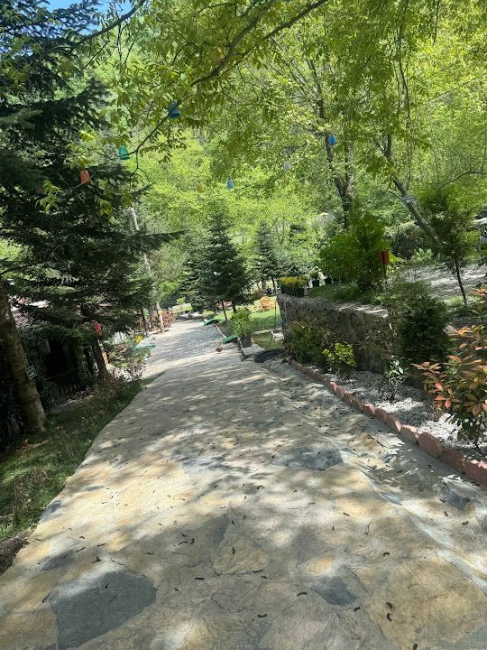 Yorum fotoğrafı 4