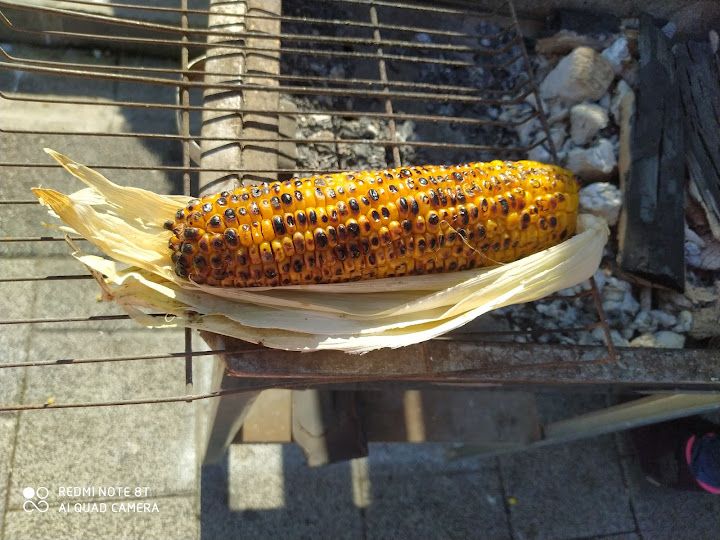 Fotoğraf 34