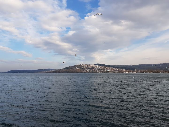 Yorum fotoğrafı 4