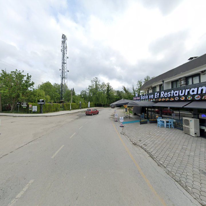 Fotoğraf 11