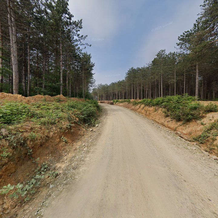 Fotoğraf 13