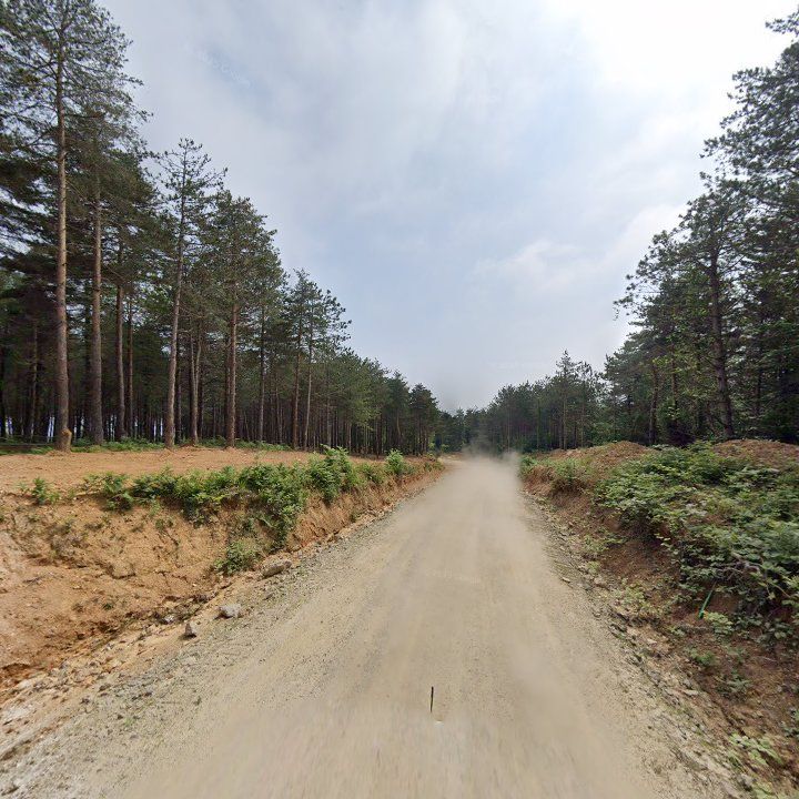 Fotoğraf 11