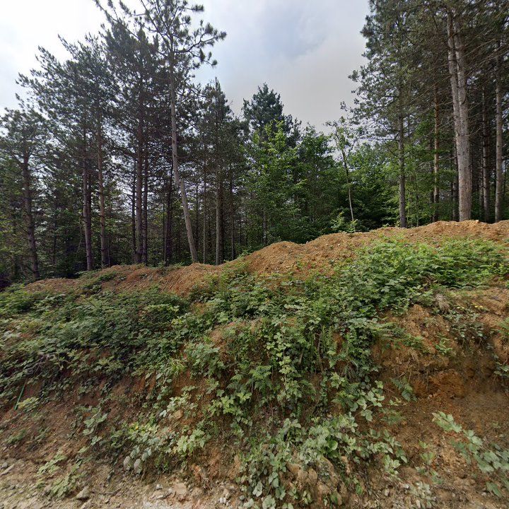 Fotoğraf 12