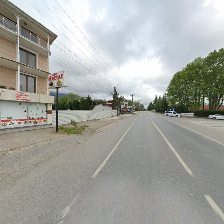 Fotoğraf 11