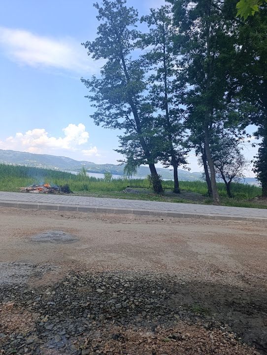 Fotoğraf 15