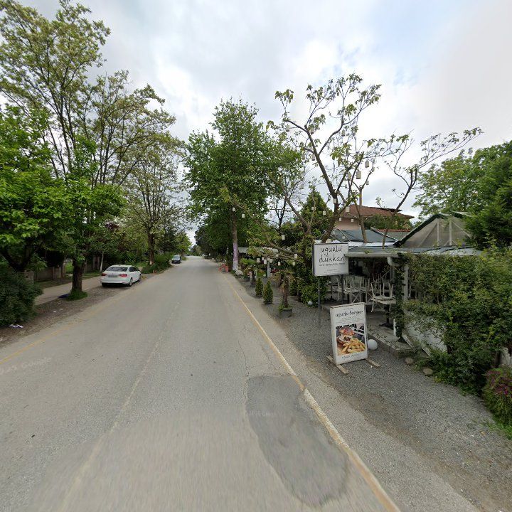 Fotoğraf 10